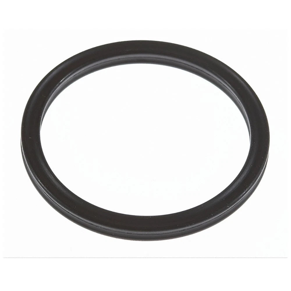 Water Pump Gasket for Ford Explorer & Mercury Mountaineer (19-50124ON, 11950124-101, W702673S300)