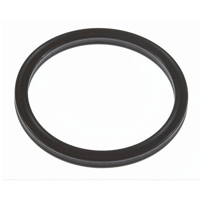 Water Pump Gasket for Ford Explorer & Mercury Mountaineer (19-50124ON, 11950124-101, W702673S300)
