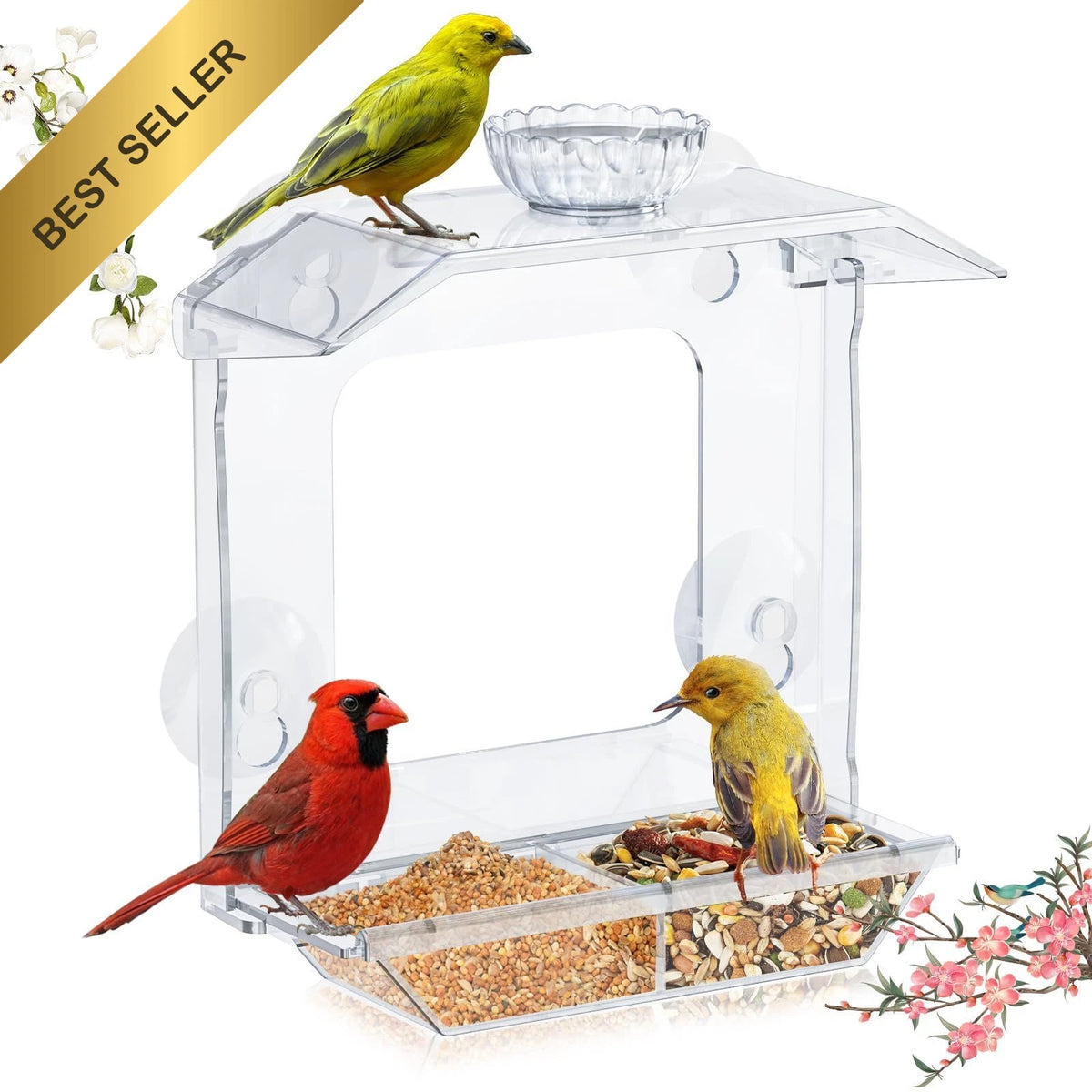 Clear Window Bird Feeder with Strong Suction Cups and Dual Seed Tray