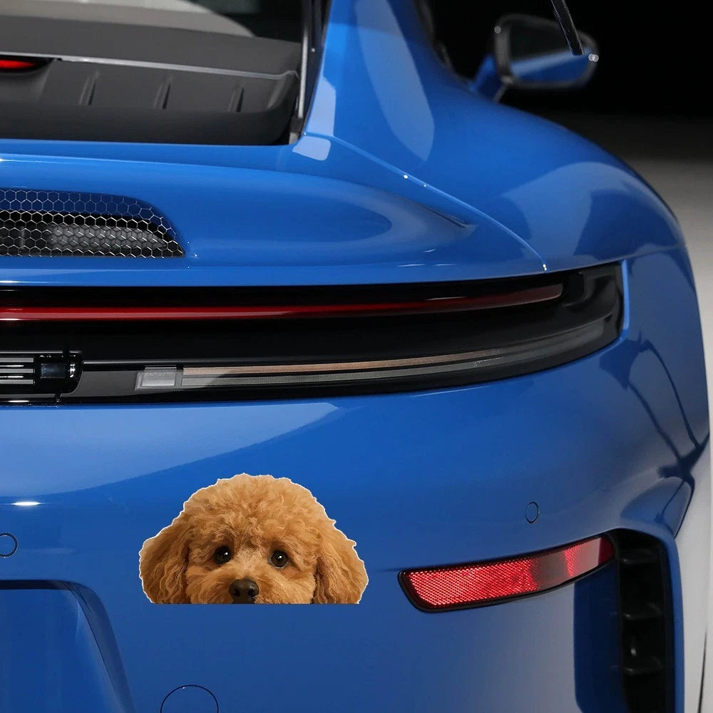 Waterproof Teddy Bear Dog Stickers for Refrigerator, Luggage, Window