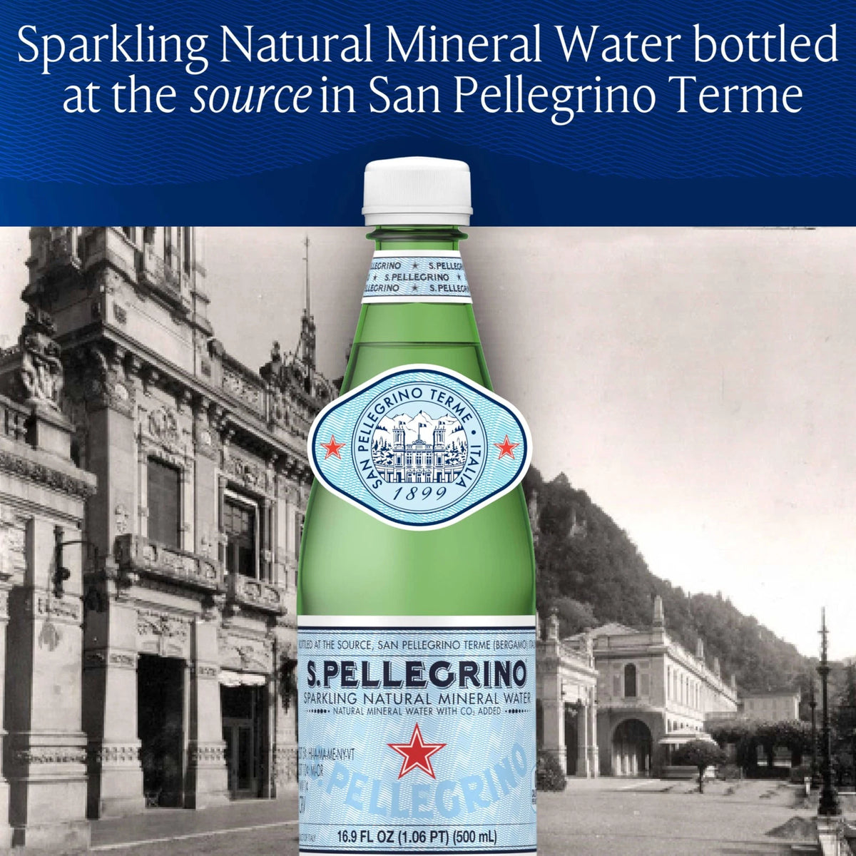 Pack of 12 S.Pellegrino Sparkling Natural Mineral Water 16.9 Fl Oz