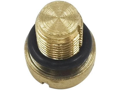 Coolant Bleeder Screw for Dodge Durango (2011–2015) 19793MSGB