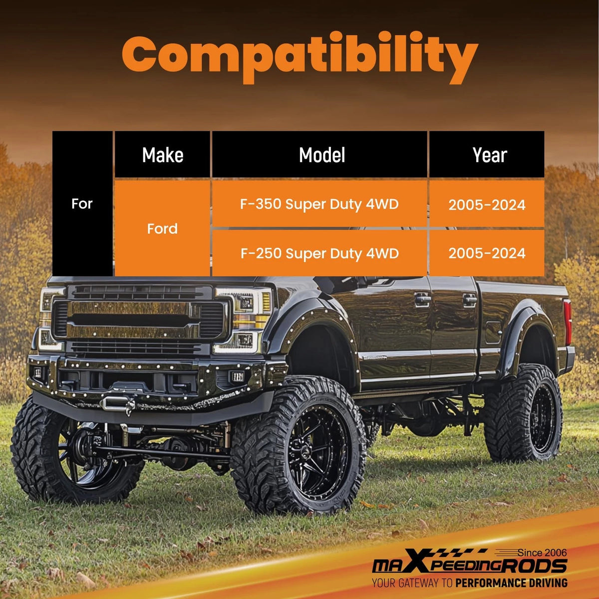 Dual Steering Stabilizer for Ford F-250 F-350 (2-8" Lift)
