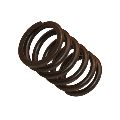 Valve Spring for Ford 2000 2600 3000 3600 4000 4600 5000 5110 5600 5610 5700