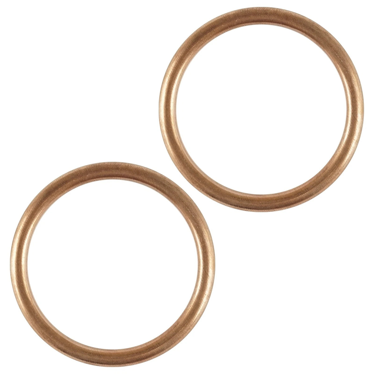 Exhaust Pipe Holder Gasket for Kawasaki (11009-1840, 18067-013)