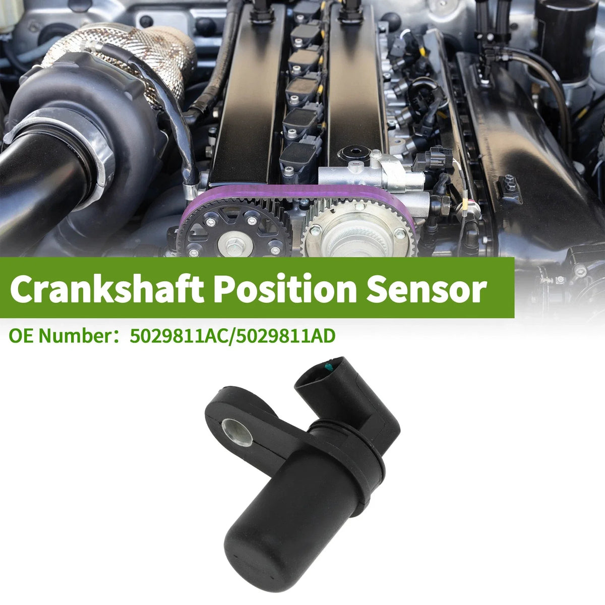 Crankshaft Position Sensor for Dodge Charger (2007–2010) No. 5029811AC