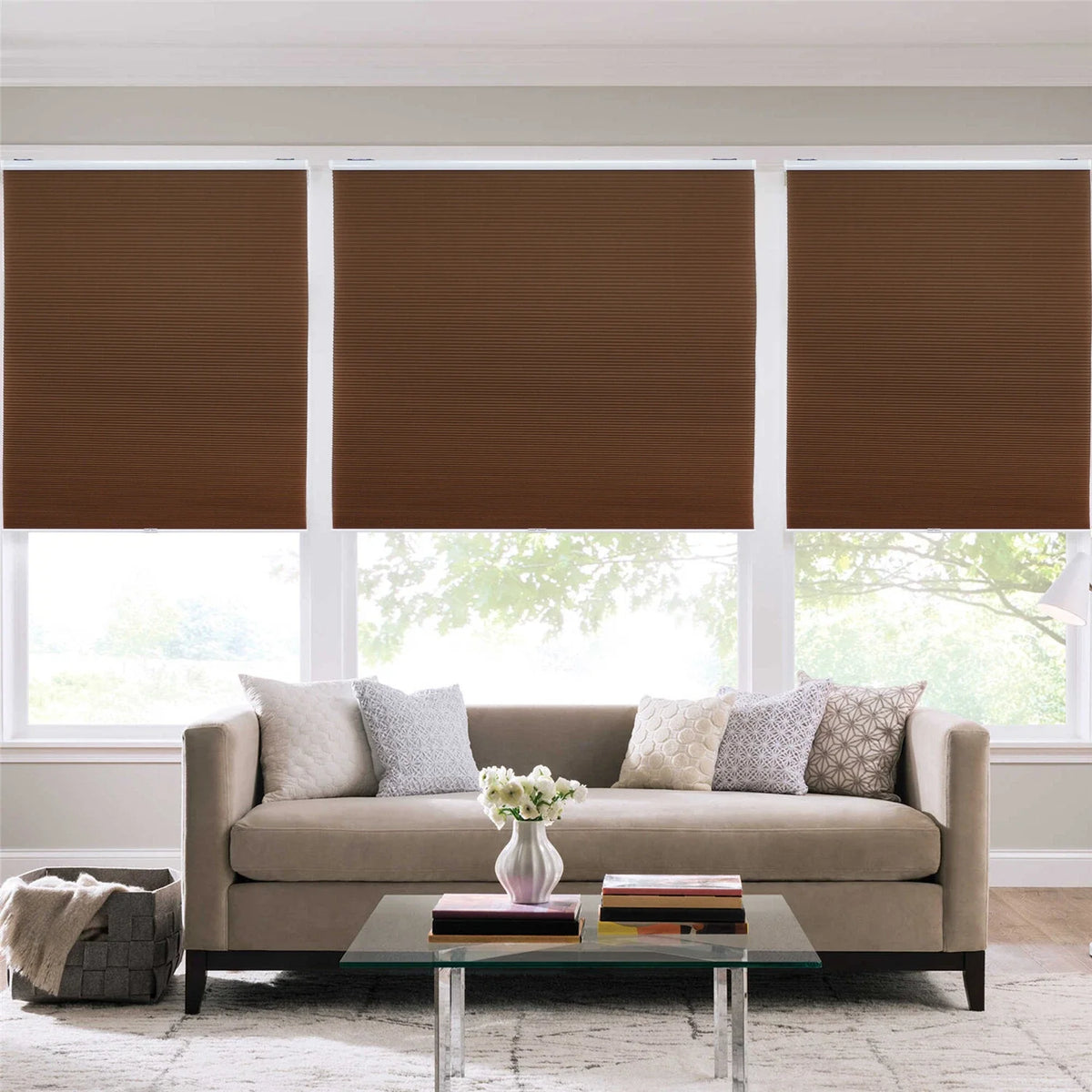 Cordless Cellular Shades for Window (32" W x 48" H)