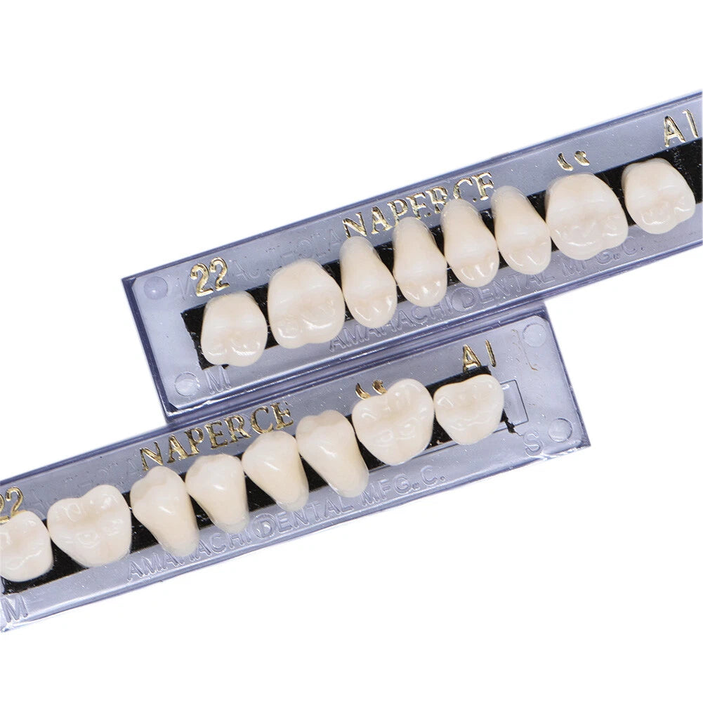 168PCS Acrylic Resin Denture Teeth Set Upper Lower Shade A1