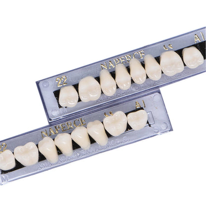 168PCS Acrylic Resin Denture Teeth Set Upper Lower Shade A1
