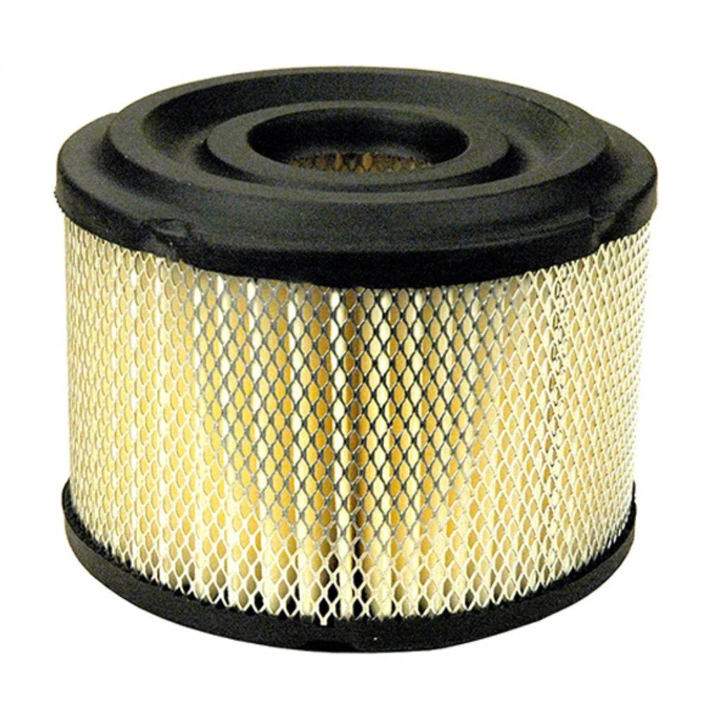 A/C Cartridge Filter for Briggs & Stratton (Replaces 390492)