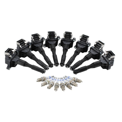 Set of 8 Ignition Coils & 8 Double Platinum Spark Plugs for BMW V8 N62 (2001–2010)