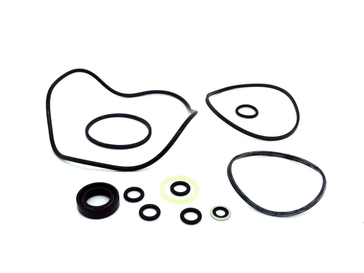 Power Steering Pump Seal Kit for David Brown 1290 1390 1490 1294 1394 1594 1694