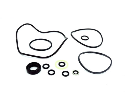 Power Steering Pump Seal Kit for David Brown 1290 1390 1490 1294 1394 1594 1694