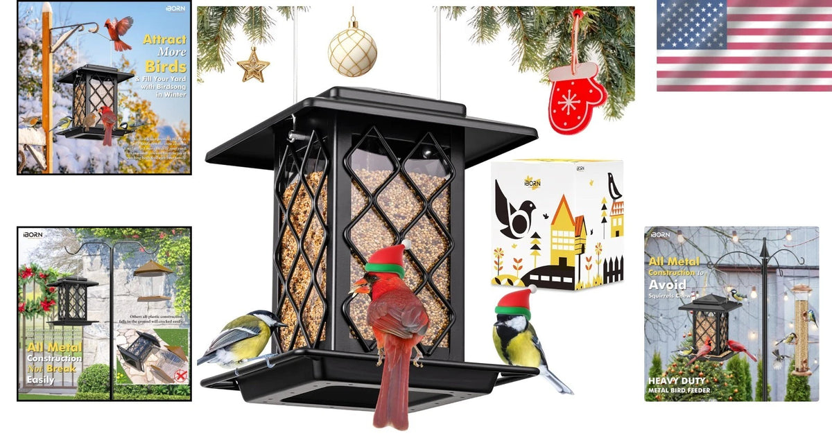 Elegant Black Metal Bird Feeder for Cardinals (2.4LBS Capacity)