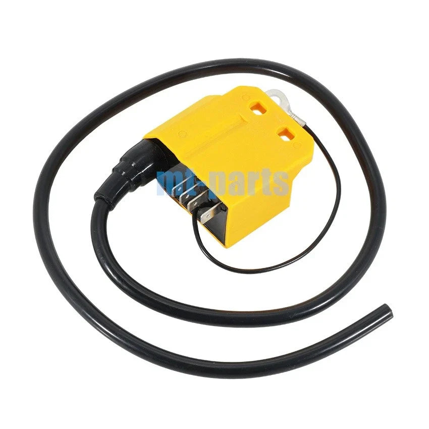 CDI Unit for Aprilia Europa 50 2T (1991–1992) / Pegaso 50 2T (1992–1994)