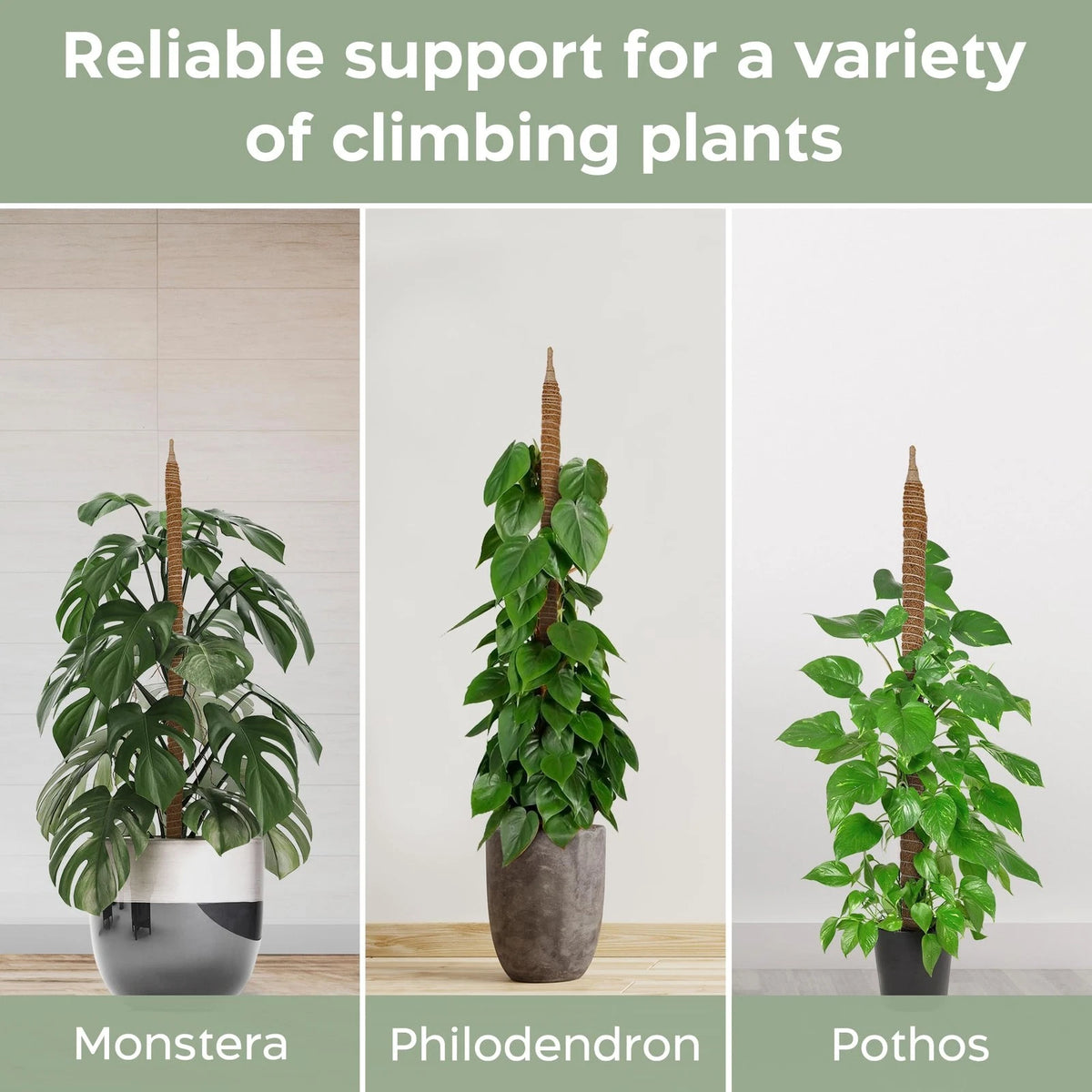 2 Pack 28'' Bendable Moss Pole for Monstera Plant Support (28 in)