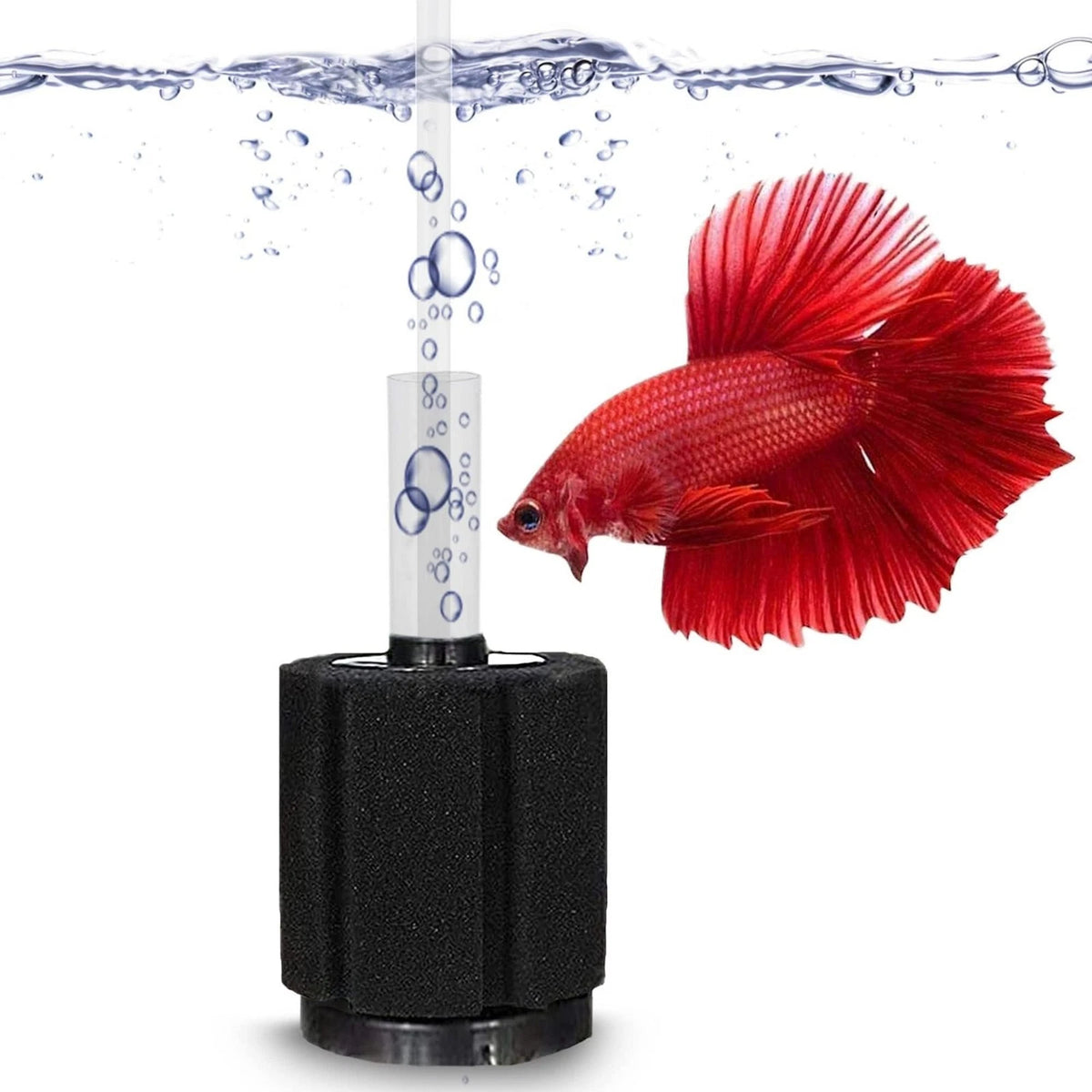 10-Gallon Betta Sponge Filter for Aquarium (2023)