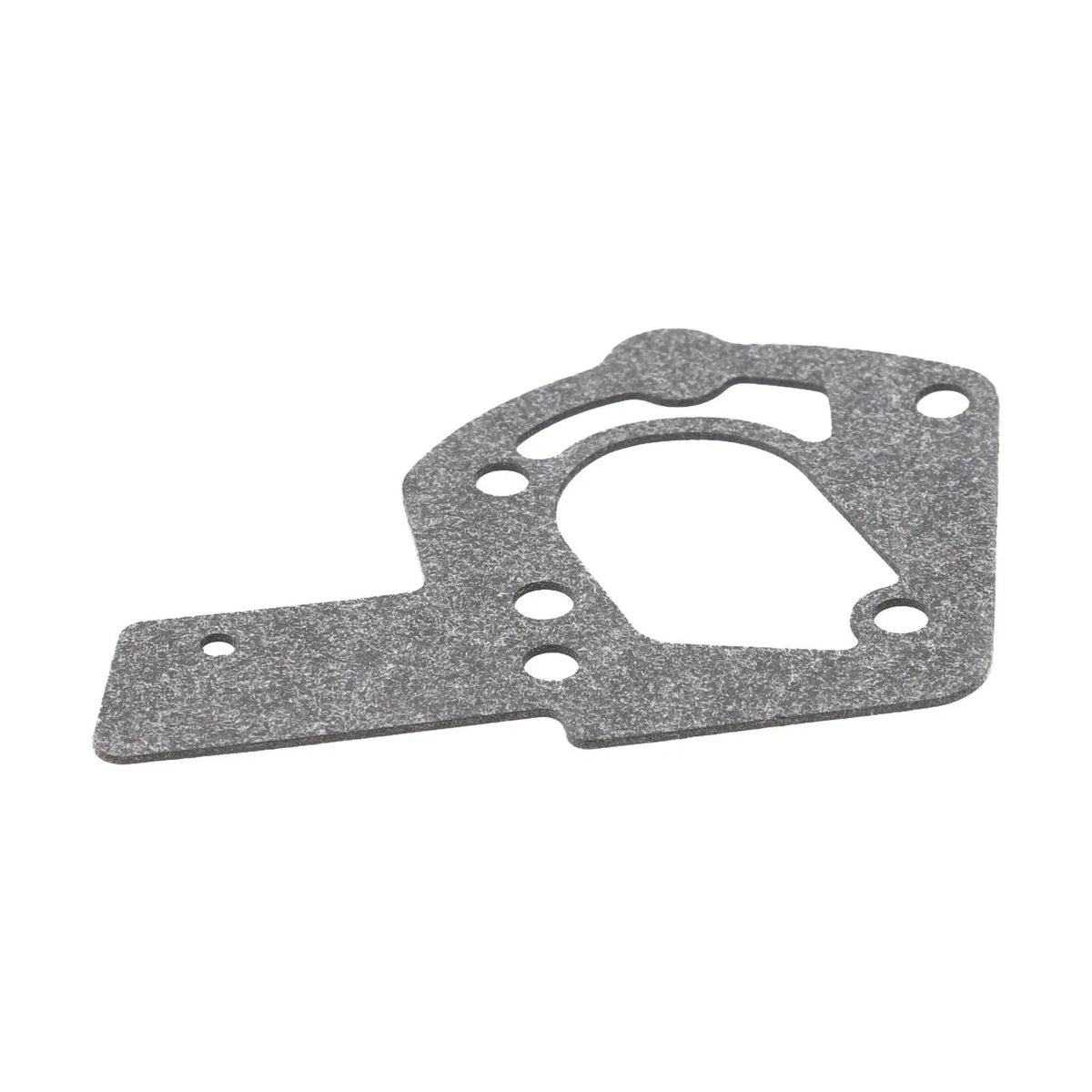 Gasket for Carburetor (004158, 272489) for