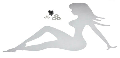 Mud Flap Plate for (17" Wide, Chrome, 90010)