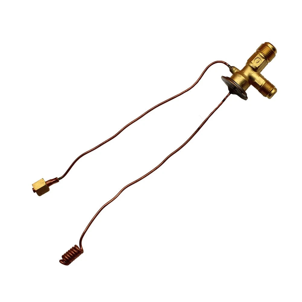 Expansion Valve for International 766 966 1066 1466 1468 (No Years Supplied)