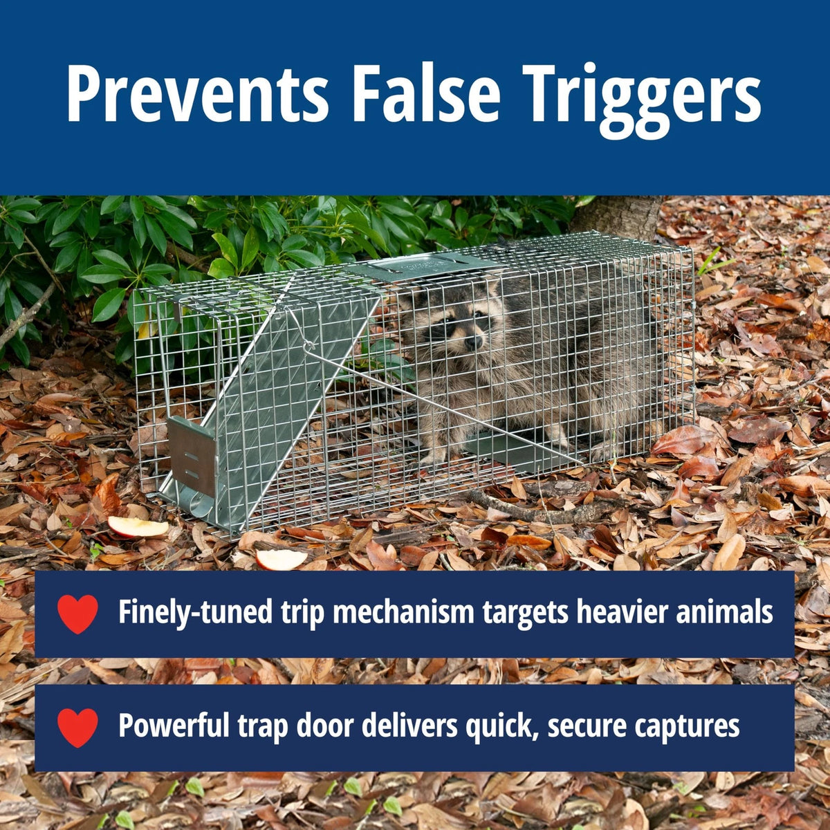 Large 1-Door Live Animal Trap for Raccoons, Cats, Bobcats (1)