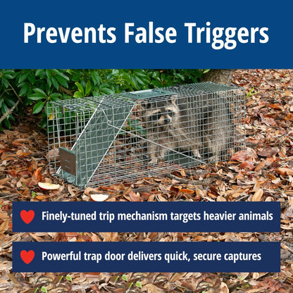 Large 1-Door Live Animal Trap for Raccoons, Cats, Bobcats (1)