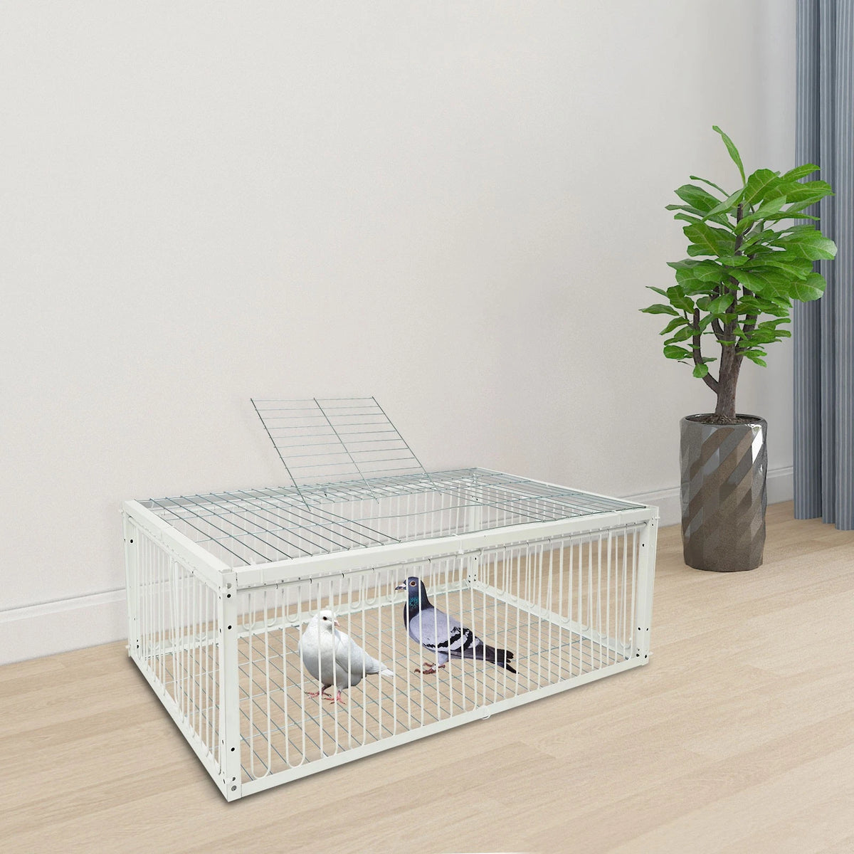 Pigeon Trap Cage for Small Birds - One-Way Entrance, Escape Proof