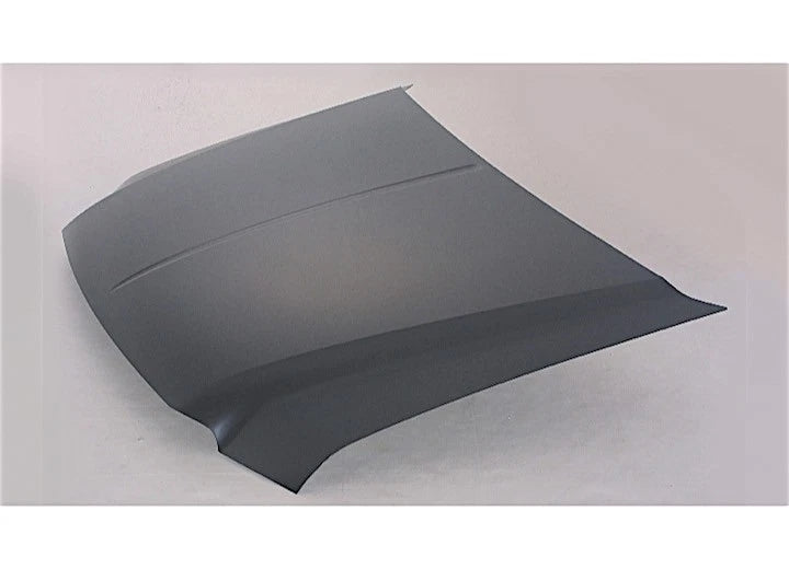 Hood Panel for Ford F-250/F-350 Super Duty, Excursion (1999–2007) 580-28