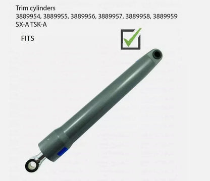 Trim Cylinder Ram Rebuild Kit for Volvo Penta SX-A DPS-A (FSM127 3889954 3889955)