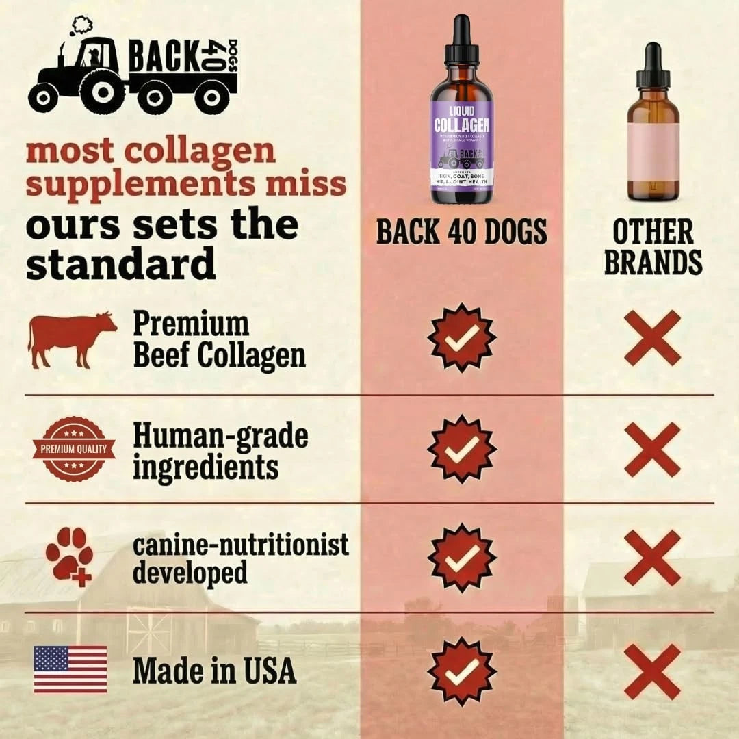 Premium Grass-Fed Liquid Collagen for Back 40 Dogs