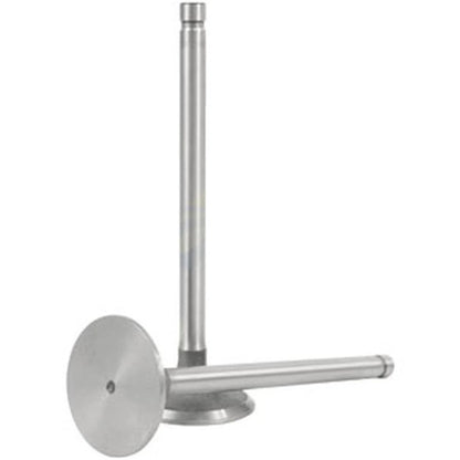 Intake Valve for Ford/New Holland (S.65925)