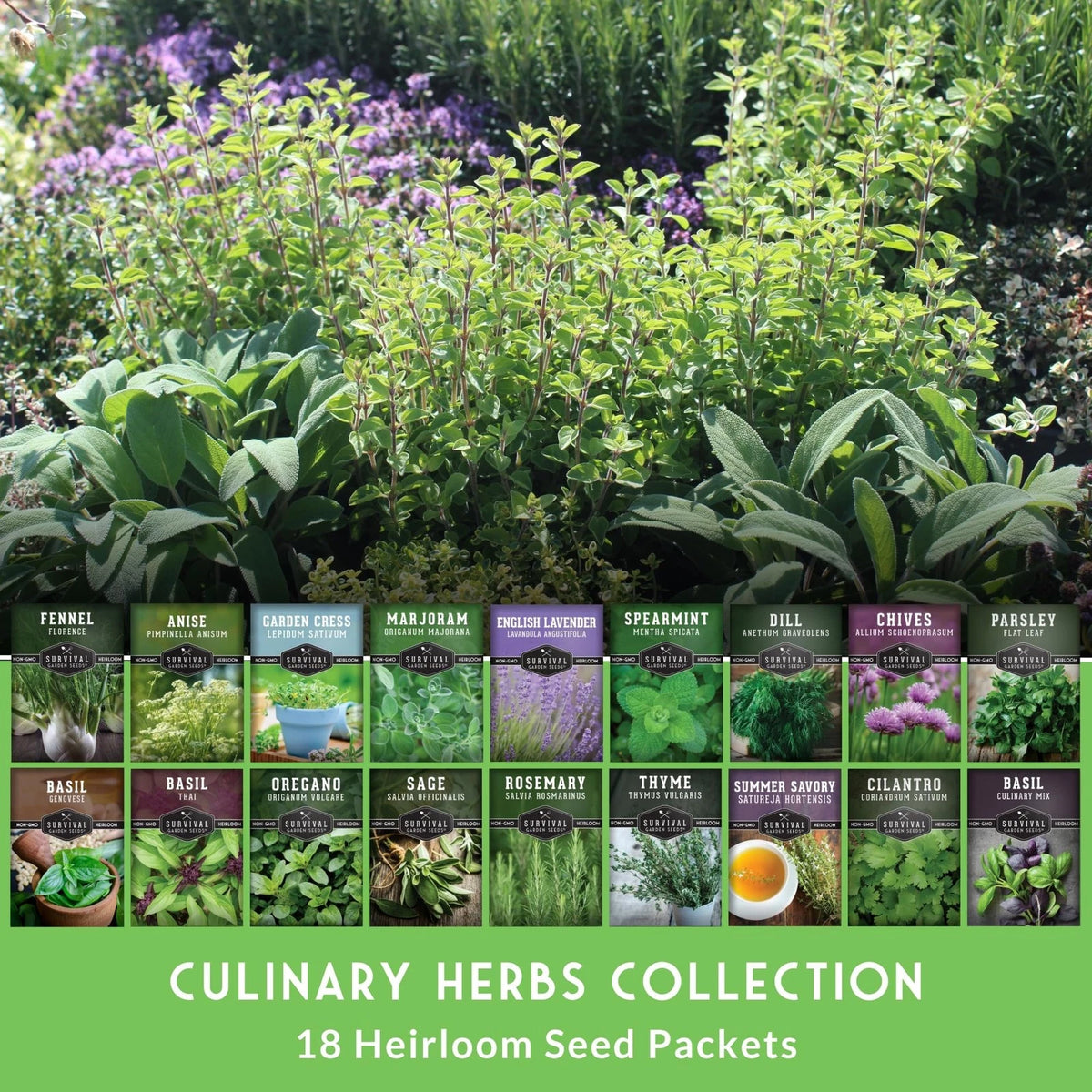 Culinary Herb Seeds Variety Pack for Planting (Heirloom)