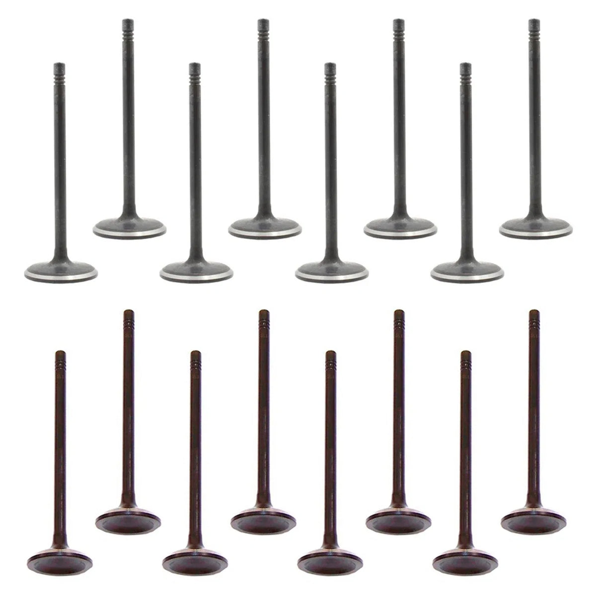 Set of 16 Intake & Exhaust Valves for Canyon Colorado i-280 L4 DOHC