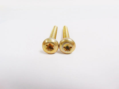 Set of 2 Screws for Arctic Cat Snowmobile (2623-079)