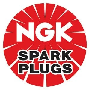 NGK BR6FIX Spark Plug for (6876)