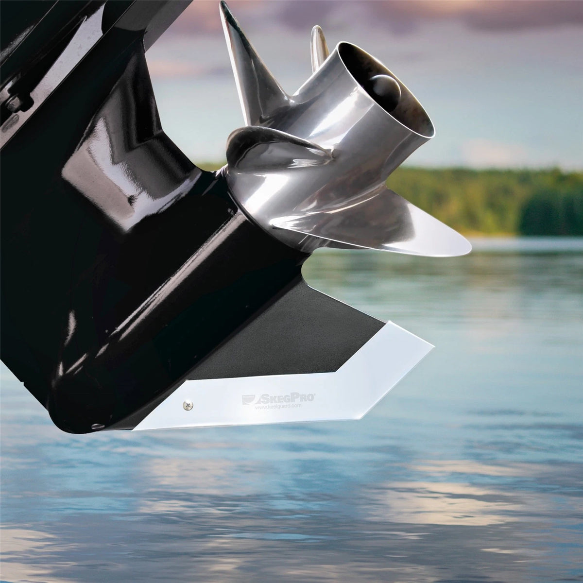 Skeg Protector for - 02667, Stainless Steel