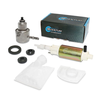 QFS Intank Fuel Pump + Regulator for Dodge Ram 2500 (2002)