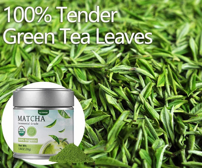 Matcha Green Tea Powder 100% Organic Vegan Gluten Free 30g