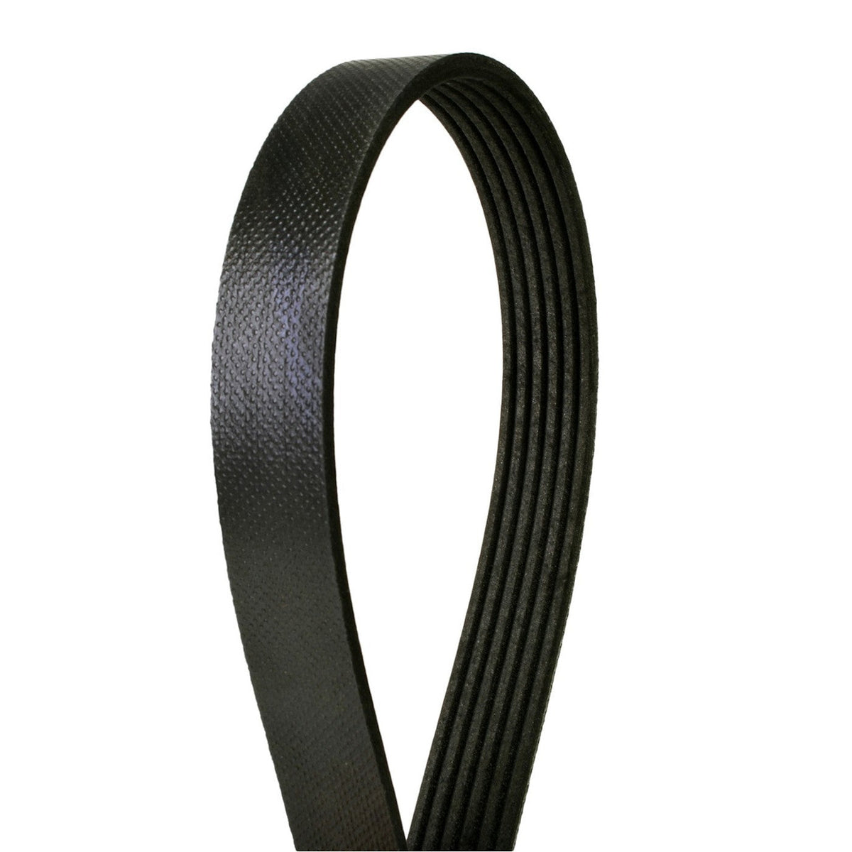 Serpentine Belt for Hyundai Veloster, Kona, Toyota Country LTD