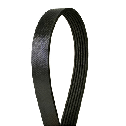 Serpentine Belt for Hyundai Veloster, Kona, Toyota Country LTD