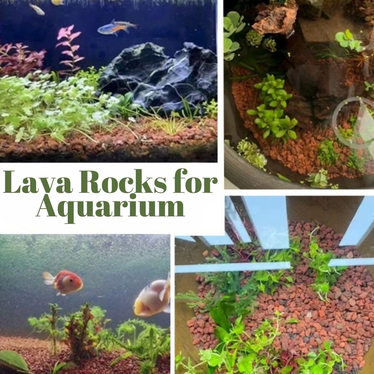 18LB Red Lava Rocks for Plants (Volcanic Rock Horticultural Soil)