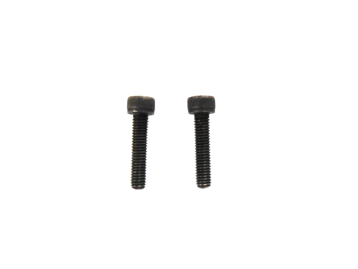 Set of 2 OEM Bolts for Arctic Cat Snowmobile (3002-281)