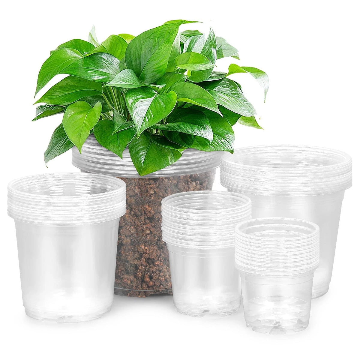 50 Pack Clear Nursery Pots for Various Plants (3/4/5/6/7 Inch)