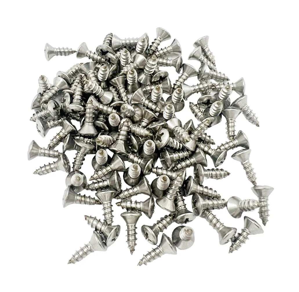 Stainless Sill Plate Screws Phillips Head for GM (Set of 100) (1900–2020)