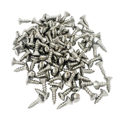Stainless Sill Plate Screws Phillips Head for GM (Set of 100) (1900–2020)