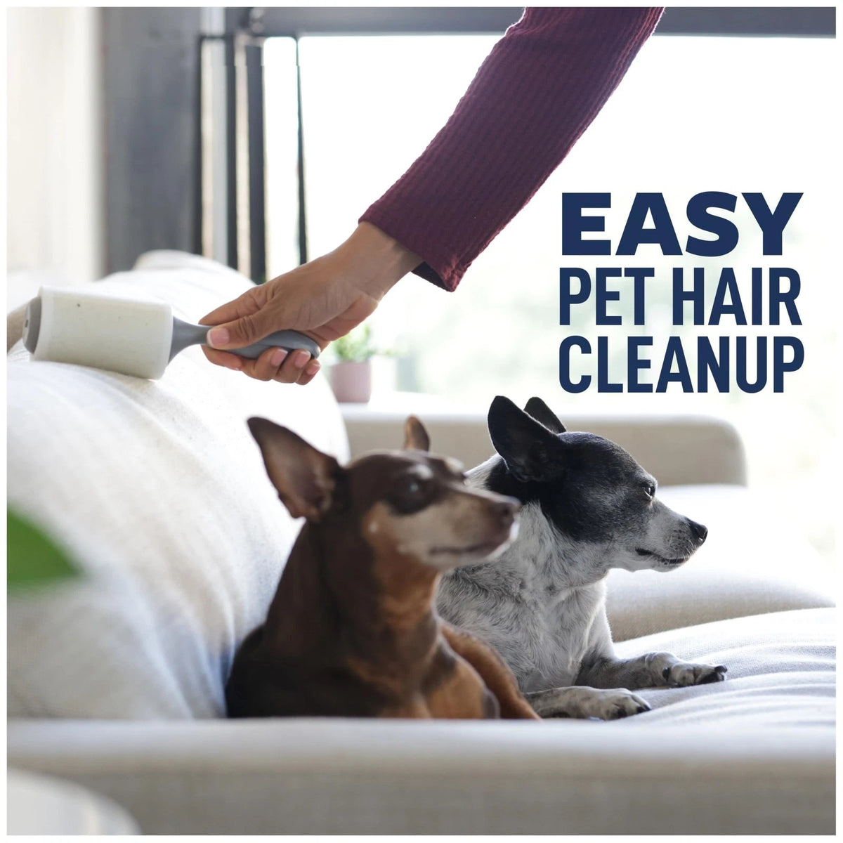 Set of 5 Lint Rollers for Everyday Cleaning