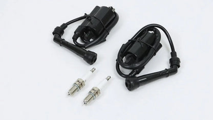 2 Pack Ignition Coil for Suzuki VS700 VS750 VS800 (1986–2004)