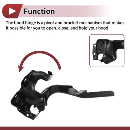 Hood Hinges for Lexus GX460 (2010–2021) 1 Pair No. 5341060080