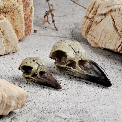 Halloween Raven Skull Statue for Gothic Decor (1 Pack)