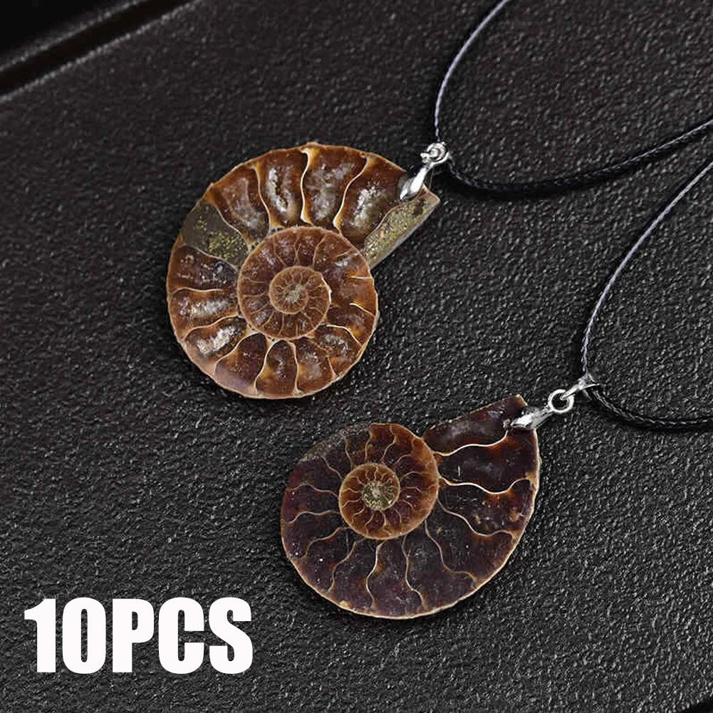 10PC Natural Quartz Crystal Conch Fossil Pendant Necklace